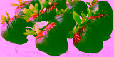 Chocolate-Covered Strawberries Done Right