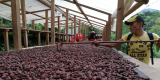 Inside Ecuador’s Secret Chocolate Valleys