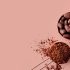 What Makes Single-Origin Chocolate So Special?