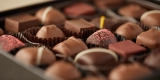 Can Chocolate Really Boost Your Focus and Mood?